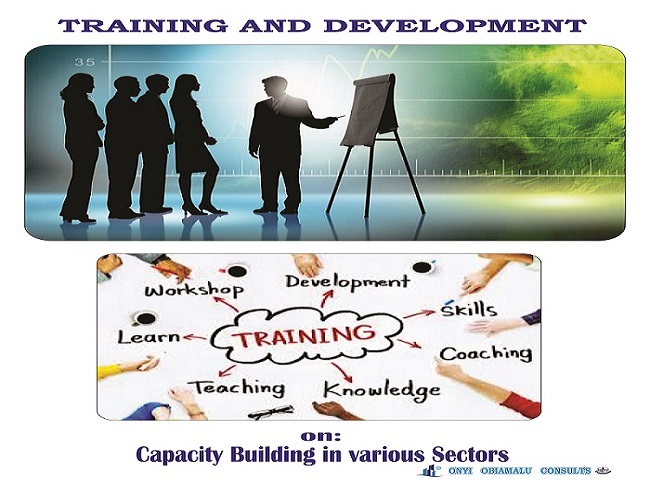 capacity building in various sectors, trainings and development, real estate, onyi obiamalu consults