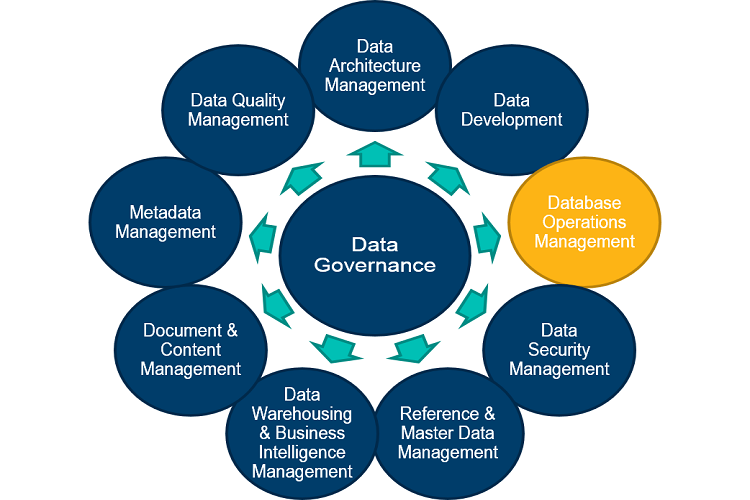 database-management systems, onyi obiamalu consults